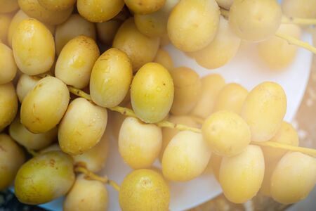 Group of fresh Date Palm: Dates are categorized as palm. The fruits will come in a form of bunch and...