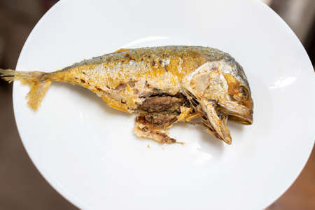 Mackerel should not be caught during the spawning season.