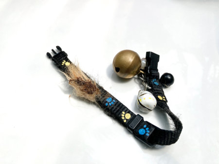 Cat collars can scar your cat's neck.の写真素材