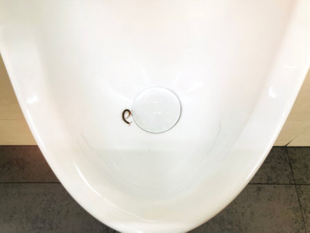 Poisonous animals in the toilet: Centipede in the urinal