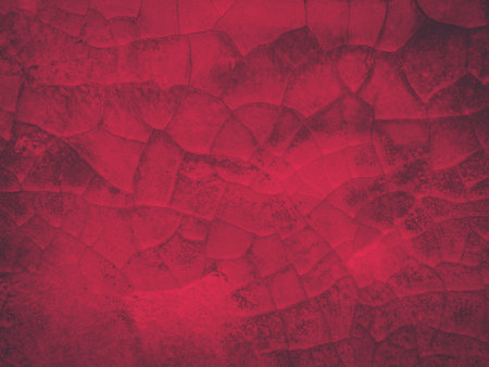 Concreat Wall - Background and texture with viva magentaの写真素材