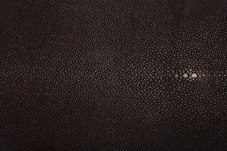 Stingray leather, chocolat color, leather for swatchesの写真素材