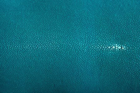 Stingray Torquoise Green leather texture background, Leather textureの写真素材