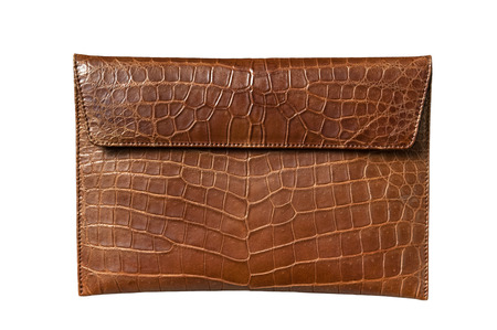Exotic leather bag for Pad, hide, skin in brown colorの写真素材