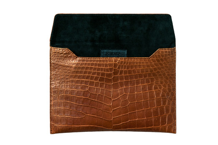 Exotic leather bag for Pad, hide, skin in brown colorの写真素材