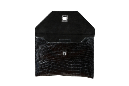 Exotic back leather alligator bag for Pad, hide, skinの写真素材