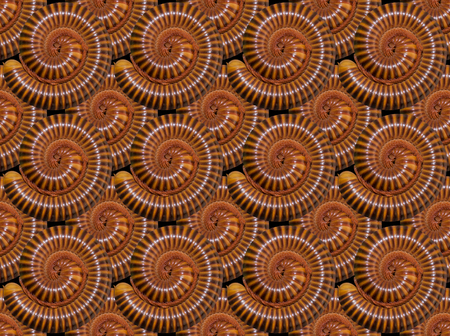 Millipedes worms coiled closeup texture for backgroundの写真素材