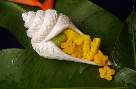 Thai desserts serve in taro root carvingの写真素材