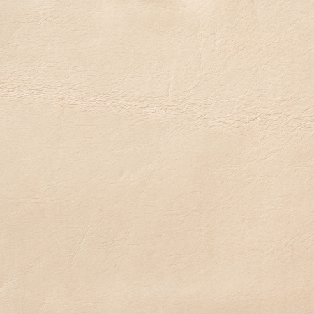 Leather texture background for fashion design background.の写真素材