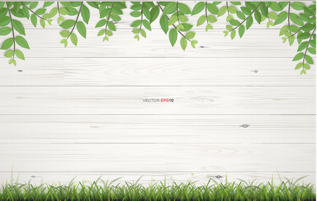Vintage wooden planks texture background with green natural frame of green grass and green leaves. Vector illustration idea.のイラスト素材