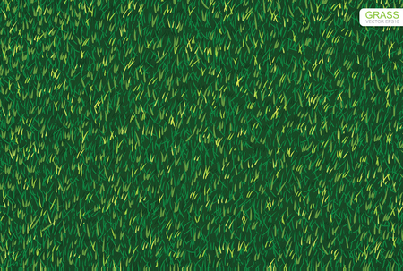 Green nature lawn grass texture and pattern for background. Vector illustration.のイラスト素材
