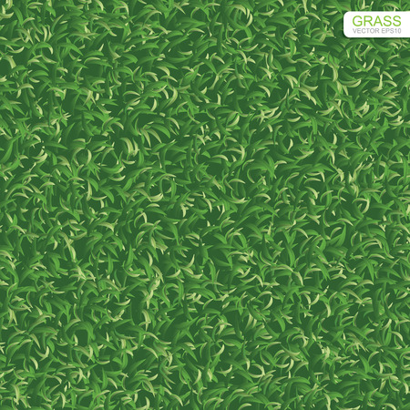 Green nature lawn grass texture and pattern for background. Vector illustration.のイラスト素材