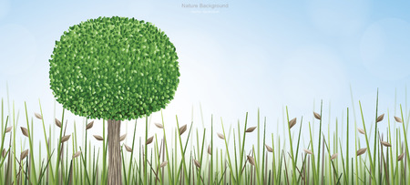 Round of green tree in natural green field area with blue sky and soft light background. Outdoor natural abstract background. Vector illustration.のイラスト素材