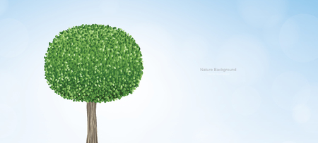Abstract round of green tree with blue sky and soft light background. Vector illustration.のイラスト素材