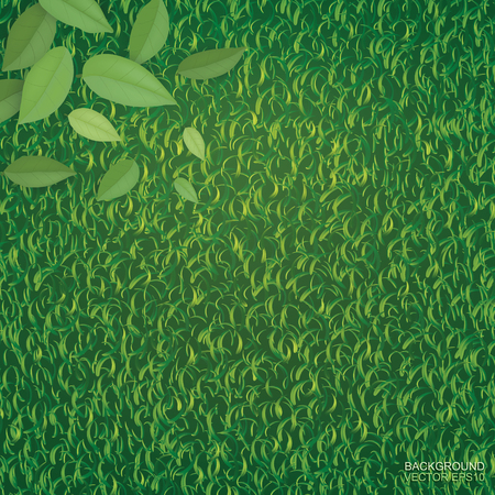 Green leaves on green grass floor texture for background. Vector illustration.のイラスト素材