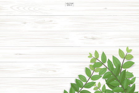 Wood plank pattern and texture with green leaves for natural  background. Abstract background for product presentation. Realistic vector illustration.のイラスト素材