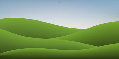 Green grass hill and sunset sky background. Outdoor natural background for template design. Vector illustration.のイラスト素材