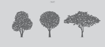 Set of tree silhouettes isolated on white background for landscape design and architectural compositions with backgrounds. Vector illustration.のイラスト素材