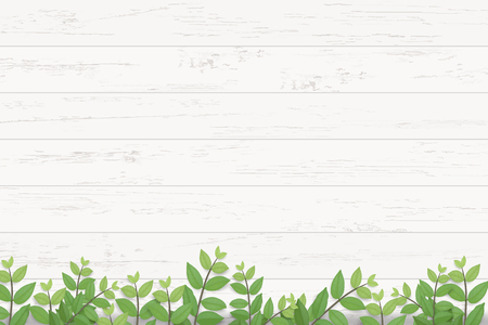 Wood plank texture background with green leaves. Realistic vector illustration.のイラスト素材