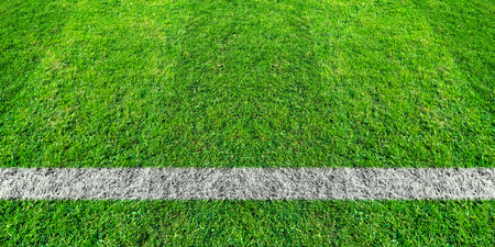 Soccer line in green grass of soccer field. Green lawn field pattern for sport for background.