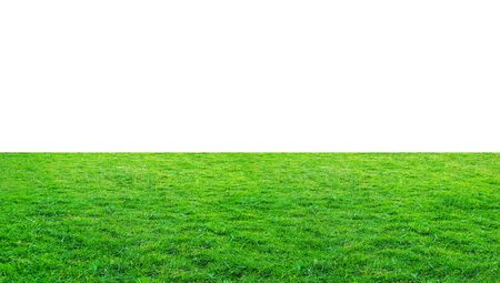 Green grass meadow field from outdoor park isolated in white background. Outdoor countryside meadow nature. Landscape of grass field in public park use as natural background.の写真素材