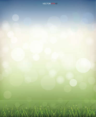 Green grass field with light blurred bokeh background. Vector illustration.のイラスト素材