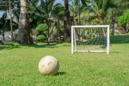 Soccer ball in grass field in front of the goal post. Football ball on green grass of playground.の写真素材