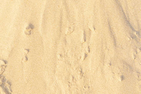 Sand on the beach as background. Light beige sea sand texture pattern, sandy beach texture...