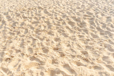 Sand on the beach as background. Light beige sea sand texture pattern, sandy beach texture background.の写真素材