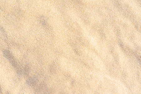 Sand texture background on the beach. Light beige sea sand texture pattern, sandy beach background.の写真素材