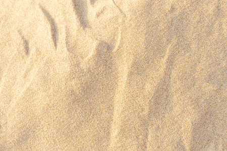 Sand texture background on the beach. Light beige sea sand texture pattern, sandy beach background.の写真素材