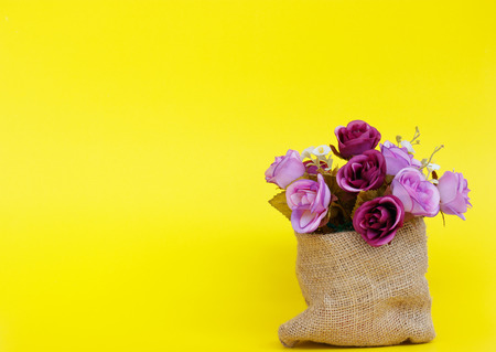 Flower Pot on yellow background.Happy weekend concept.の写真素材