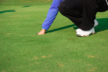 Man golfer keep a golf ball.の写真素材