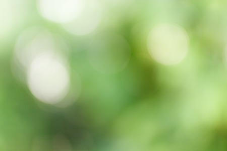 Abstract green blurred bokhe backgroundの写真素材