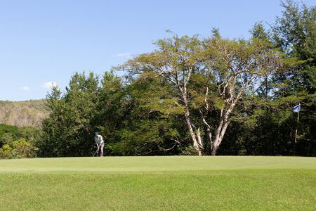 Man playing golf on a golf course.の写真素材