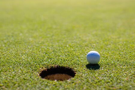 Golf club and ball in grass.の写真素材