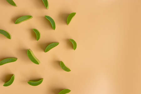 Top view of fresh aloe vera leaves. spa background concept.の写真素材
