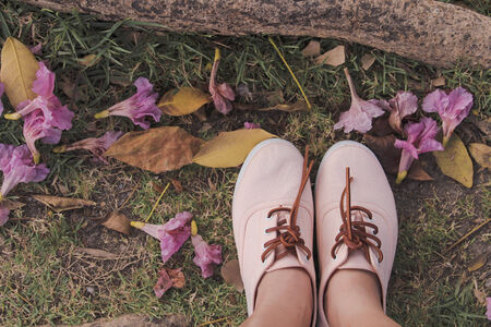 Relaxing in the Parkの写真素材