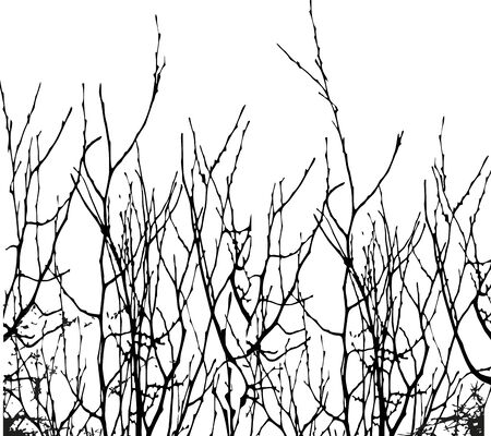 flower Ornamental border for ribbons, fabric, wrapping, wallpaper, tape. Decorative design element for background and cover. Art work.の写真素材