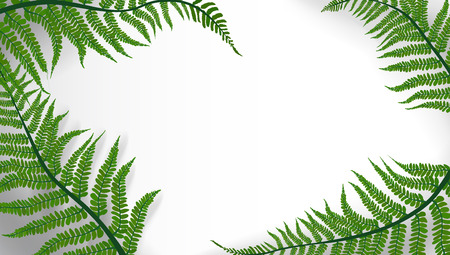 Tropic Leaves Background With Copyspace For Text. EPS10 Vectorのイラスト素材