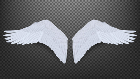 3D Realistic Pair Of White Angel Style Wingsのイラスト素材