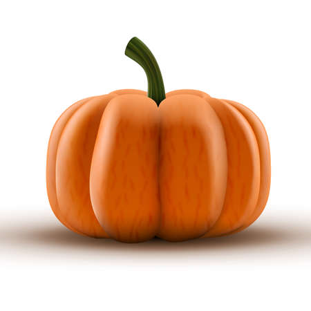 Clear Fresh Orange Pumpkin Isolated On Backgroundのイラスト素材