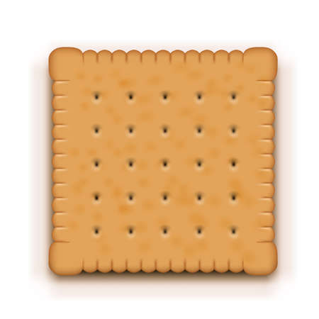 3D Rectangle Realistic Butter Biscuit With Shadowのイラスト素材