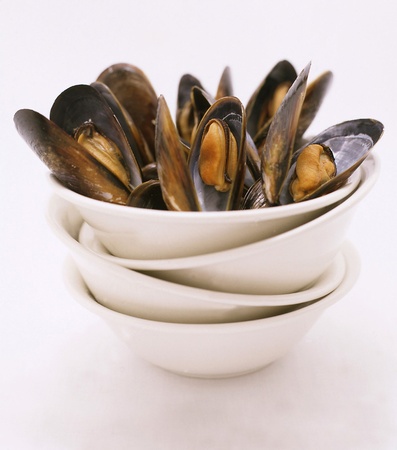 musselsの写真素材