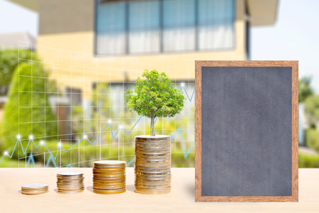Business finance and real estate concepts, Money coin stack with trees growing on coin, Chalkboard free space for you planing, Business graph and blurred home garden background.の写真素材