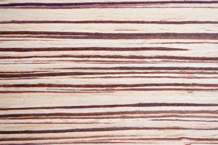 High quality closeup zebrano wood grain texture, natural pattern background for design art work or add text.の写真素材
