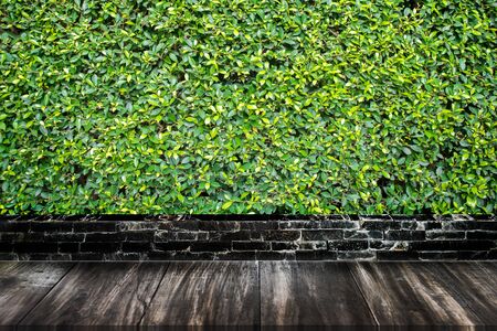 Empty wood table top on grass wall background, perspective wood can be used for display or montage your products.の写真素材