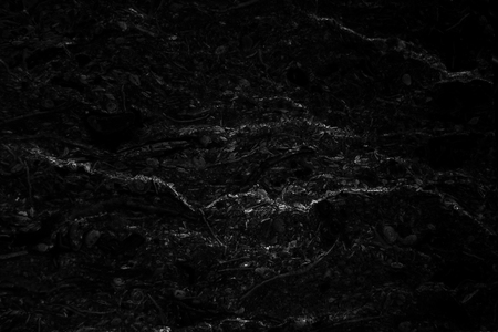 Black marble patterned texture background, Detailed genuine marble from nature, Can be used for creating a marble surface effect to your designs or images.の写真素材