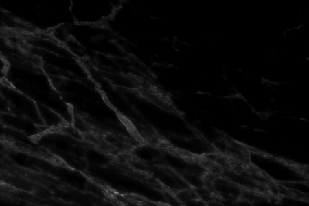 Black marble texture abstract background pattern with high resolution, Detailed of real genuine marble from nature.の写真素材