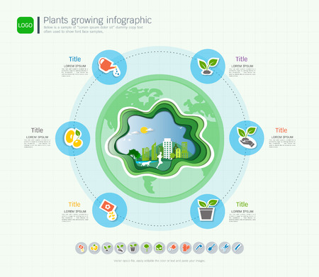 Plants growing timeline infographic with icons setのイラスト素材